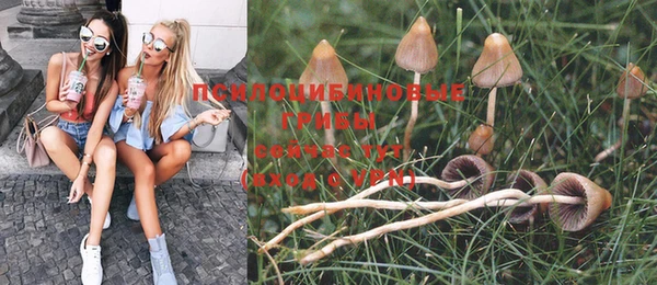 бошки Бугульма