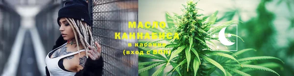 амф Верхний Тагил