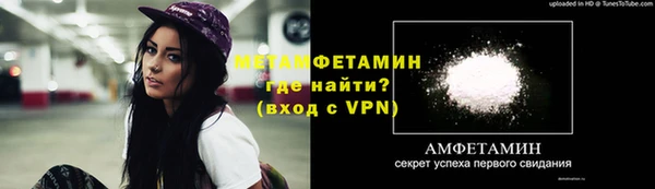 амф Верхний Тагил