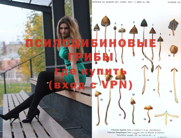 соль ск Бородино