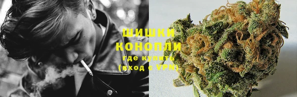 сатива Богородицк