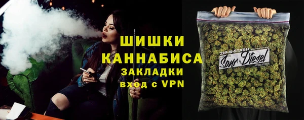 соль ск Бородино