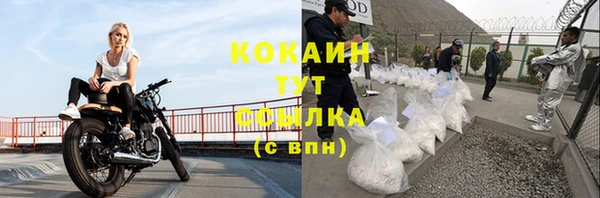 крисы Верея