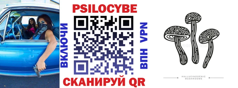 где можно купить наркотик  Всеволожск  Галлюциногенные грибы GOLDEN TEACHER 